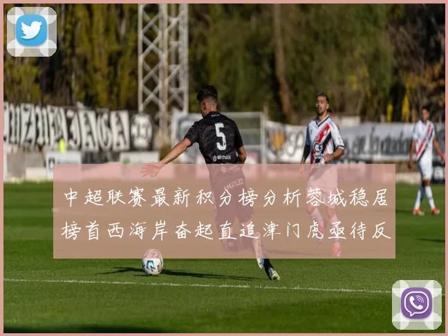 中超联赛最新积分榜分析蓉城稳居榜首西海岸奋起直追津门虎亟待反弹