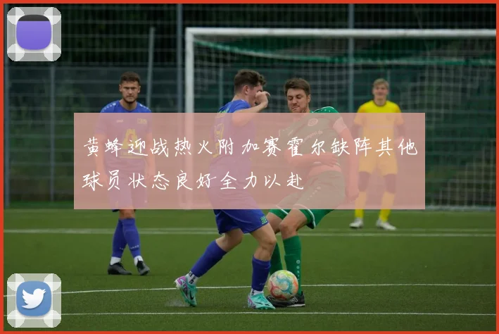 黄蜂迎战热火附加赛霍尔缺阵其他球员状态良好全力以赴