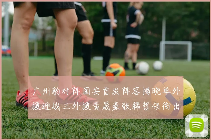 广州豹对阵国安首发阵容揭晓单外援迎战三外援黄晟豪张稀哲领衔出战