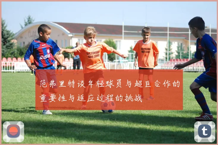 范弗里特谈年轻球员与超巨合作的重要性与适应过程的挑战