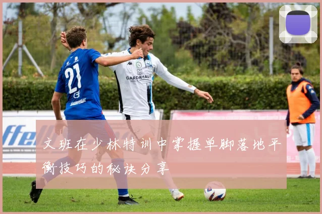 文班在少林特训中掌握单脚落地平衡技巧的秘诀分享