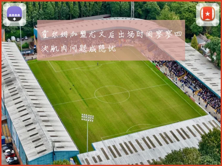 霍尔姆加盟尤文后出场时间寥寥四次肌肉问题成隐忧