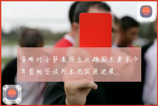 黄蜂对小萨表现出兴趣国王要求今年首轮签谈判未见实质进展